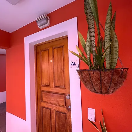 Διαμέρισμα The Pink - Holidays In Madeira Island Caniço